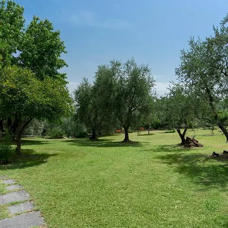 Irene 6, Emma 蒙特卡洛